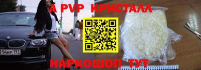 гашик Тара
