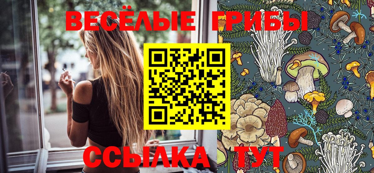 Псилоцибиновые грибы MAGIC MUSHROOMS  Вход с VPN  Псилоцибиновые грибы Cubensis  купить наркотик  Новочебоксарск 