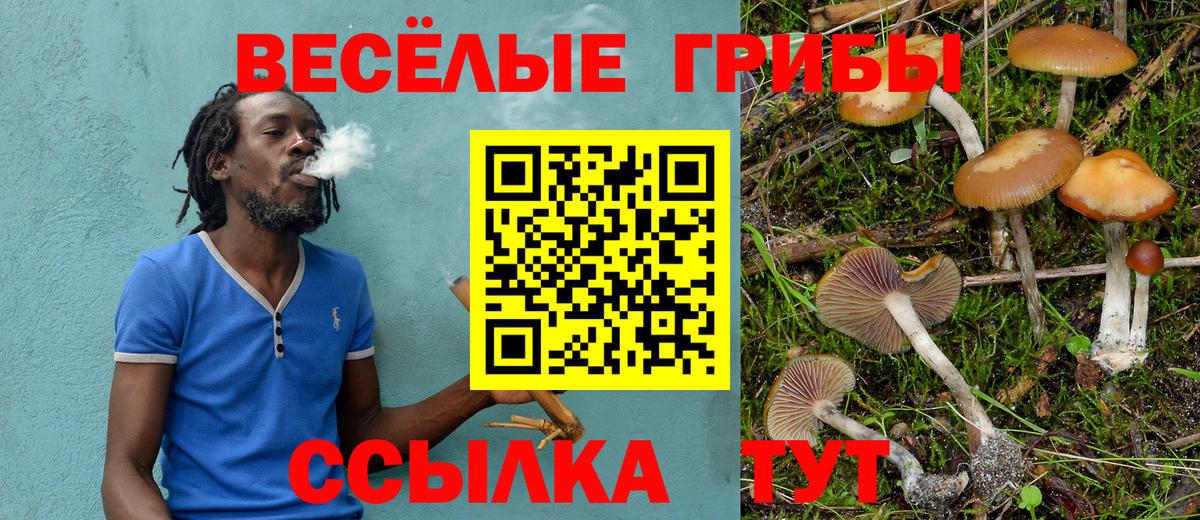 Псилоцибиновые грибы Magic Shrooms Новочебоксарск